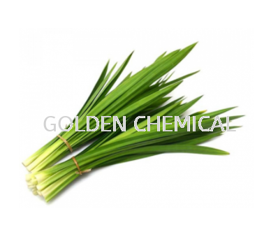 Pandan Flavor Powder Flavor Powder Vegetable Base Malaysia, Penang Beverage, Powder, Manufacturer, Supplier | Golden Chemical Sdn Bhd