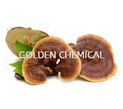 Ganoderma Powder