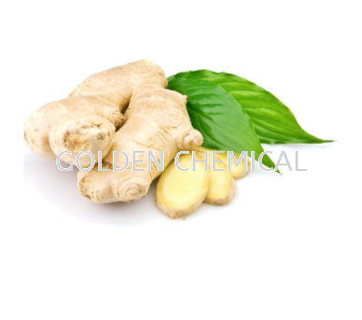 Ginger Powder Powder Vegetable Base Malaysia, Penang Beverage, Powder, Manufacturer, Supplier | Golden Chemical Sdn Bhd