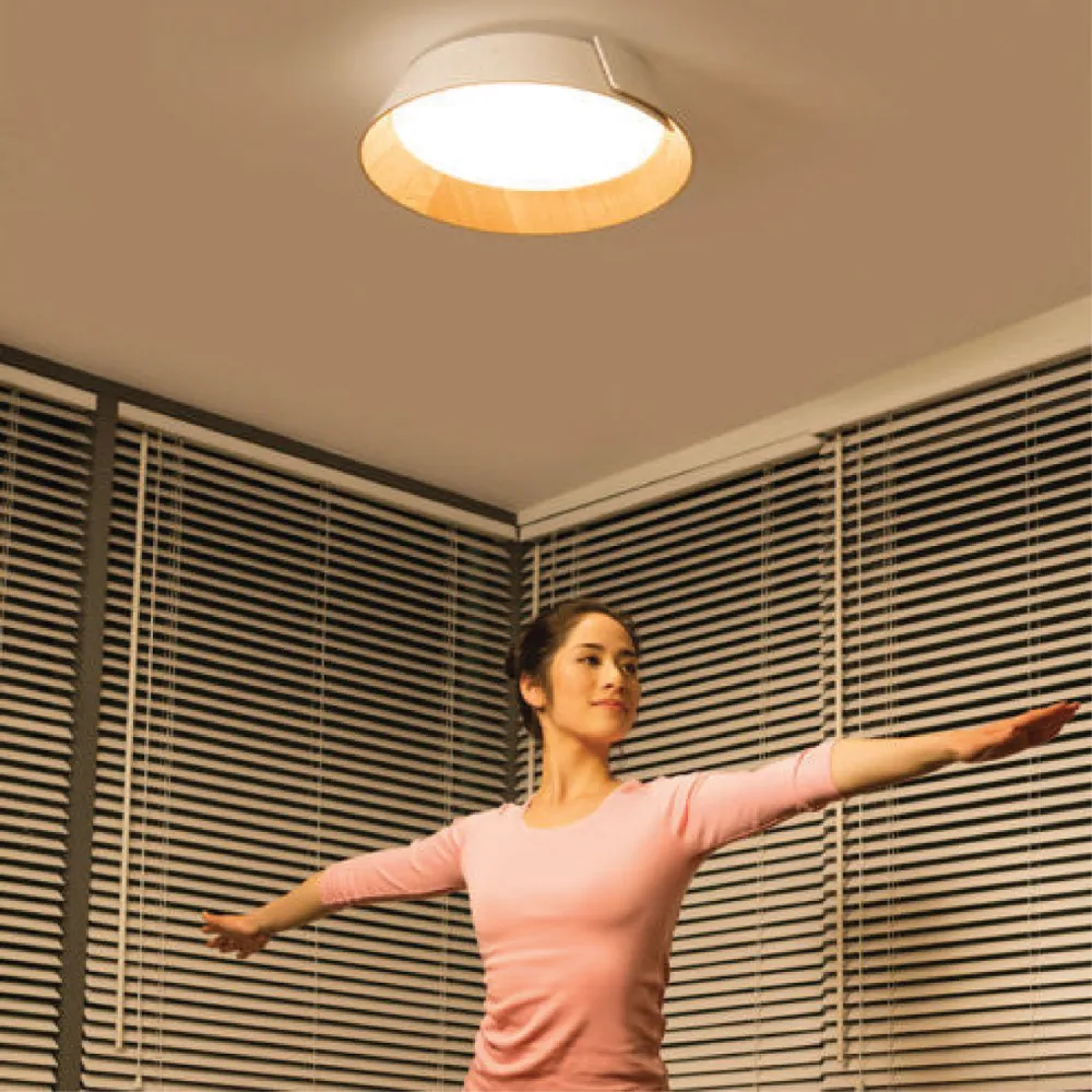 PHILIPS 49020 24W 1000LM IP20 2700K WARM WHITE DIMMABLE LED CEILING LIGHT