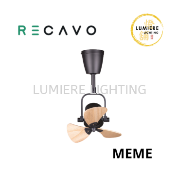 RECAVO - MEME