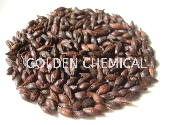 Instant Roasted Barley Others Flavor Malaysia, Penang Beverage, Powder, Manufacturer, Supplier | Golden Chemical Sdn Bhd