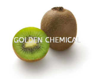 Kiwi Flavor Powder Flavor Fruity Base Malaysia, Penang Beverage, Powder, Manufacturer, Supplier | Golden Chemical Sdn Bhd