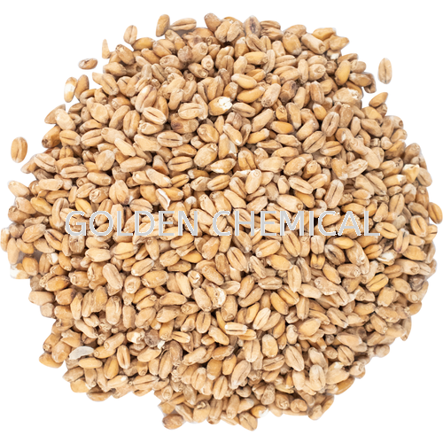 Malt Extract Powder Others Flavor Malaysia, Penang Beverage, Powder, Manufacturer, Supplier | Golden Chemical Sdn Bhd