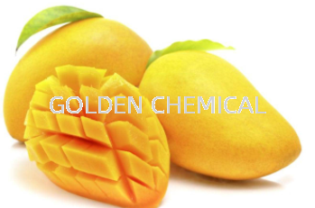 Mango Juice Powder Juice Powder Fruity Base Malaysia, Penang Beverage, Powder, Manufacturer, Supplier | Golden Chemical Sdn Bhd