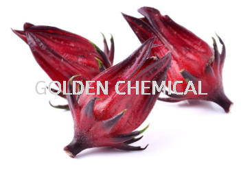 Roselle Extract Powder Extract Powder Fruity Base Malaysia, Penang Beverage, Powder, Manufacturer, Supplier | Golden Chemical Sdn Bhd