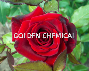 Rose Flavor Liquid Flower Base Malaysia, Penang Beverage, Powder, Manufacturer, Supplier | Golden Chemical Sdn Bhd