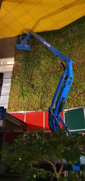 Greenwall Maintenance Landscape Maintenance Service Selangor, Malaysia, Kuala Lumpur (KL), Subang Jaya Services | Floral-s Enterprise