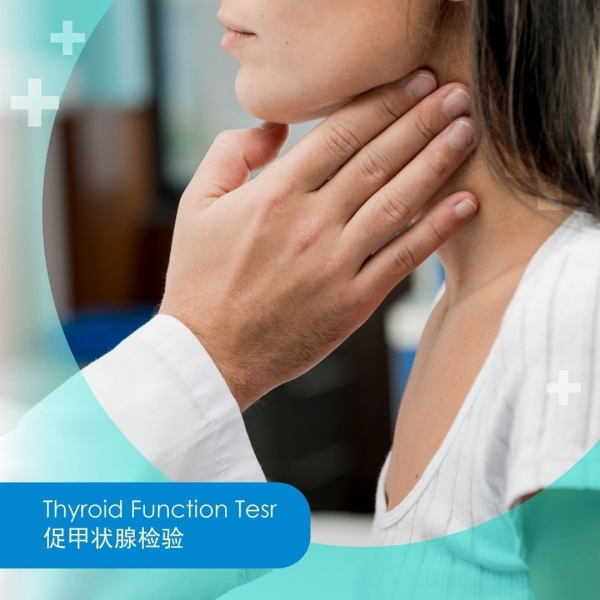 Thyroid Function Test Nutritional Consultation Malaysia, Kuala Lumpur (KL), Selangor, Kepong, Cheras, Puchong Clinic | Klinik Medilove