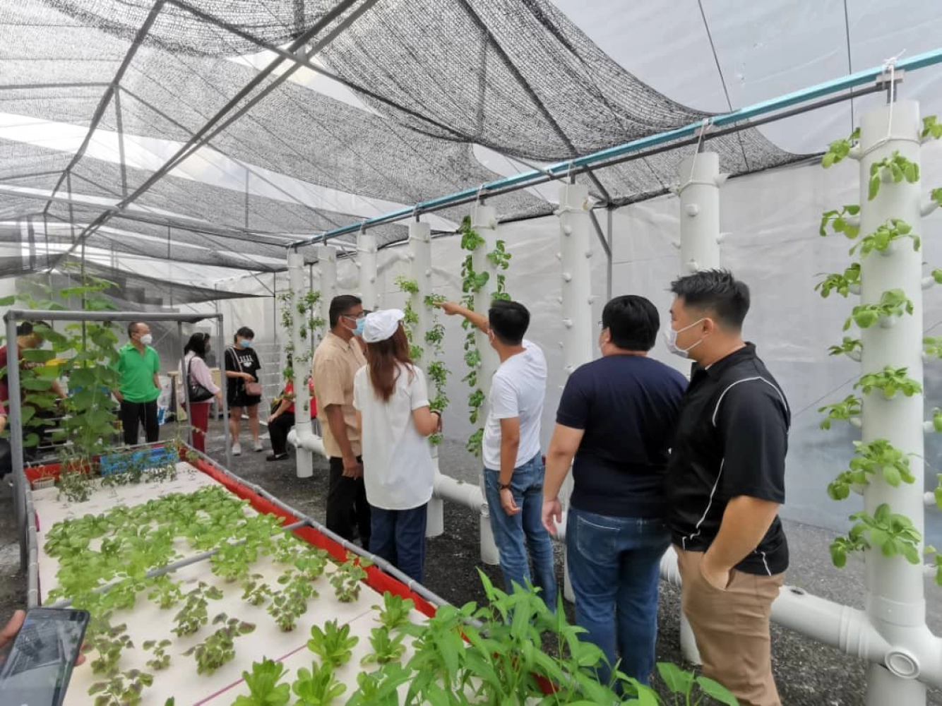 Regaltech’s Aquaponics Farm visited by Members of Parliament and Others