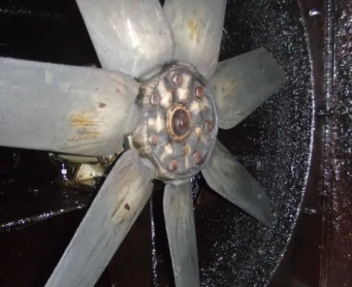 Cleaning of Exhaust Fan