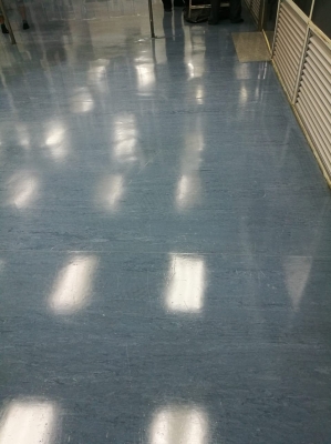 Vinyl Floor Polishing (4)