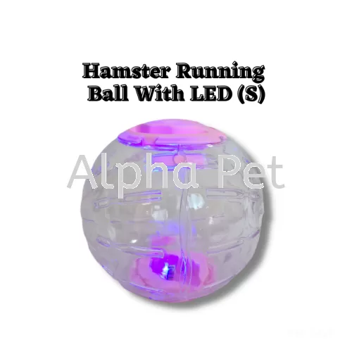 Hamster Running  Ball With LED S Size (BE-P38)