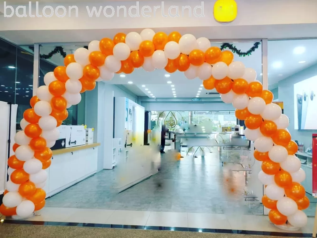 Balloon Arch