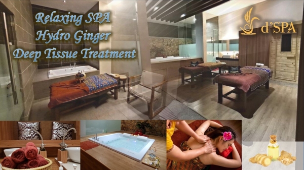 Hydro Ginger Deep Tissue Treatment SPA Packages Seremban, Negeri Sembilan, Malaysia Services | Top Fast Management Sdn Bhd