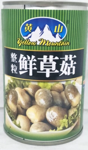 YELLOW MOUNTAIN STRAW MUSHROOM 425G 黄山草菇