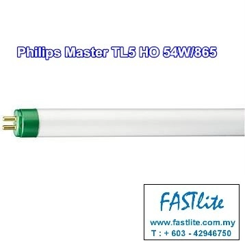 Philips Master TL5 HO 54W/865
