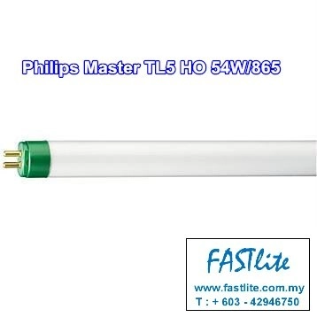 Philips Master TL5 HO 54W/865