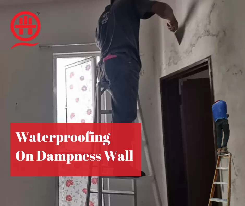 Waterproofing Contractor Near Me:- Dampness Wall Now