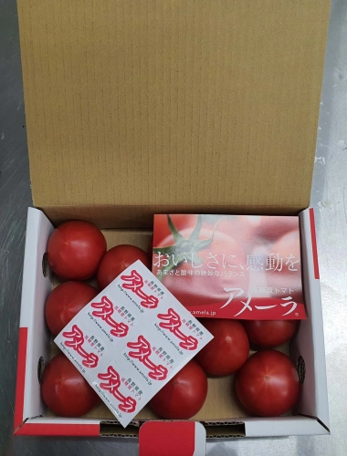  Amera Tomato アメラトマト