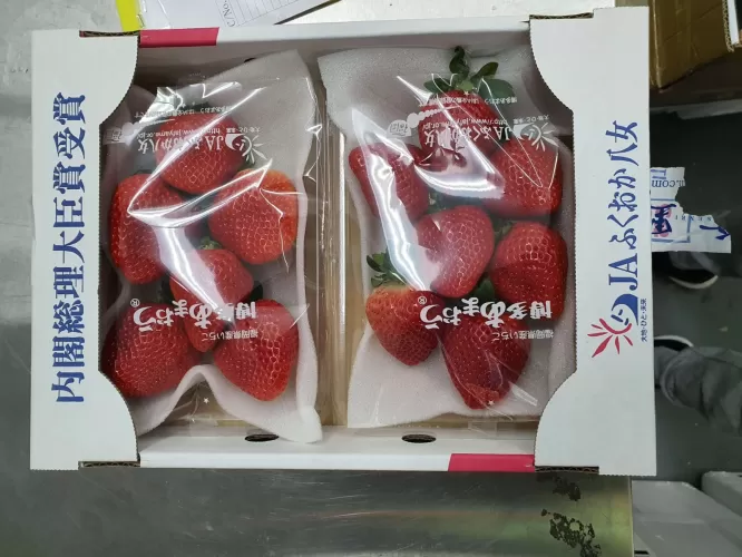 Amaou  strawberry イチゴ 