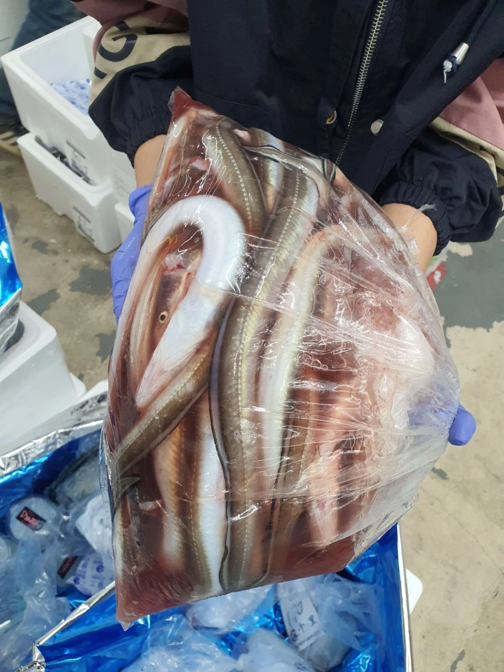 Anago Maru 穴子丸 