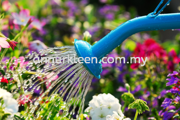 Plant Watering Landscape Maintenance And Care Johor Bahru (JB), Senai, Kulai, Malaysia Services | An Nur Kleen Maintenance Sdn Bhd