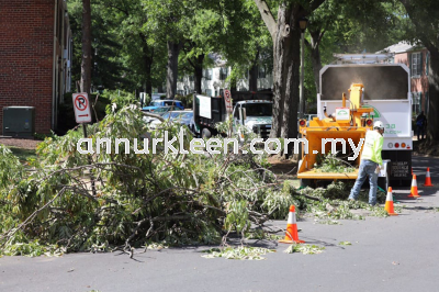 Tree Felling, Pruning and Refuse Removal