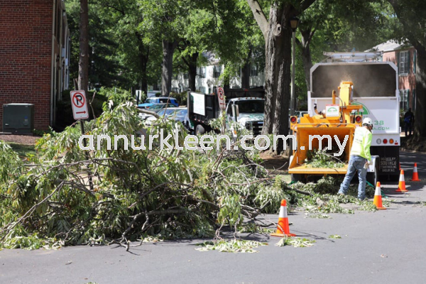 Tree Felling, Pruning and Refuse Removal Landscape Maintenance And Care Johor Bahru (JB), Senai, Kulai, Malaysia Services | An Nur Kleen Maintenance Sdn Bhd