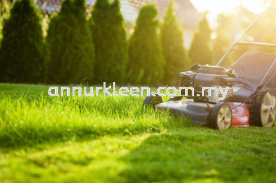 Grass Cutting and Lawn Moving