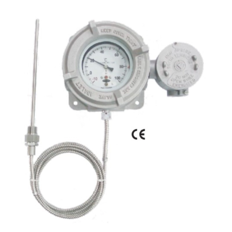 Temperature Switch EX