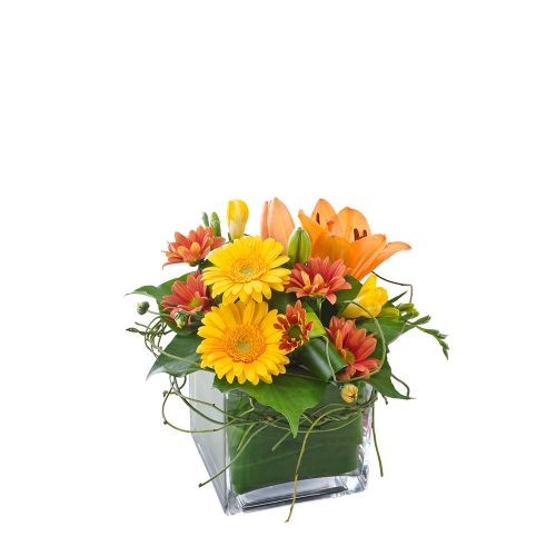 Ginger Vase arrangements Arrangements  Australia, Perth, Dianella Supplier, Suppliers, Supply, Supplies | Secret Blumen