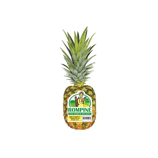 Pineapple Rompine