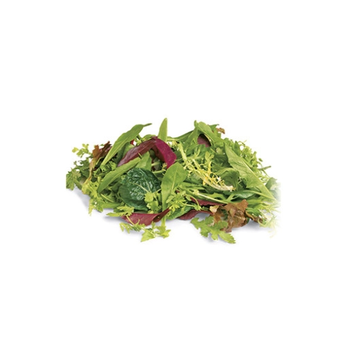 Lettuce Mesculin Mix Salad