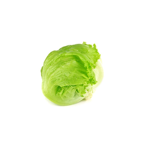 Lettuce Iceberg