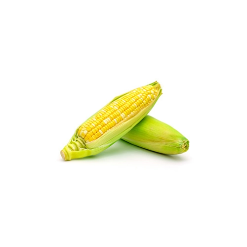 Sweet Corn