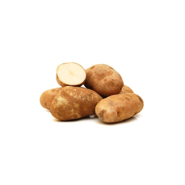 Potato Russet
