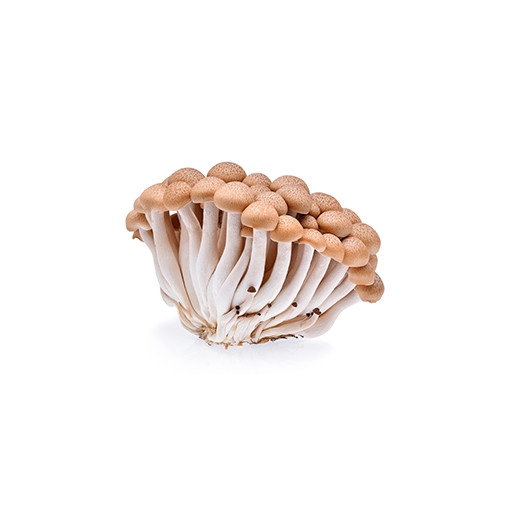 Shimeji Mushroom Brown