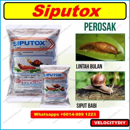 （杀螺药/蜗牛药）Molluscicides Siputox Esaro Kill Snail Racun Siput Snail Pallet ±500gm