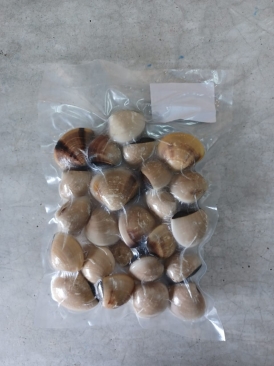 Local White Clam Approx . 500g