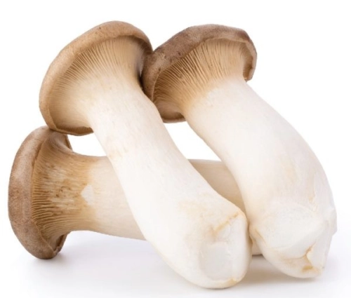 King Oyster Mushroom 200g