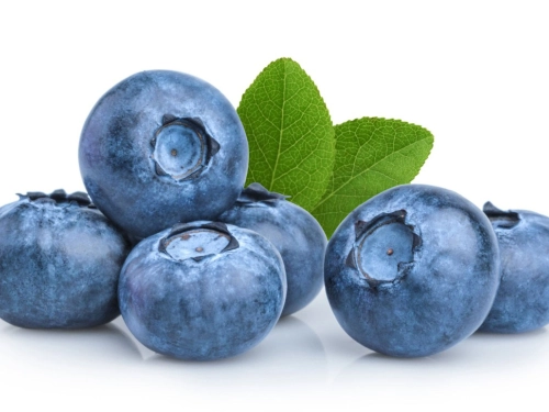 Blueberries Snowy Mountains 125g