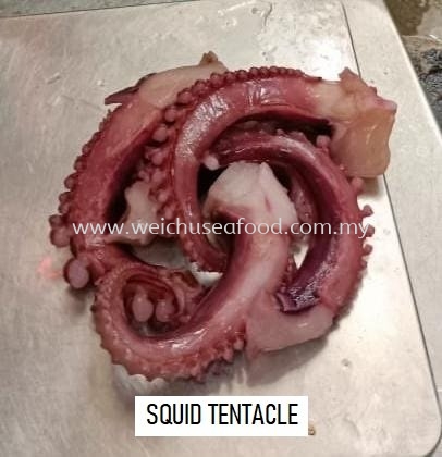 Squid Tentacle Frozen Squid Selangor, Malaysia, Kuala Lumpur (KL), Klang Supplier, Suppliers, Supply, Supplies | Wei Chu Seafood Supply Trading Sdn Bhd