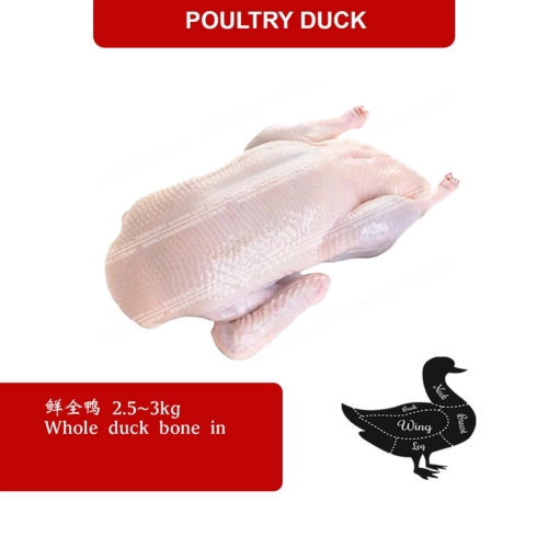 WHOLE FROZEN DUCK BONE IN