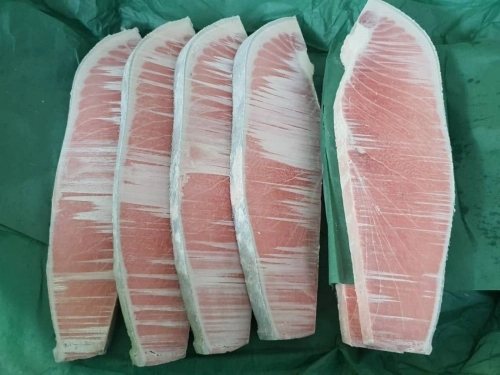 FZN Hon Maguro Otoro 