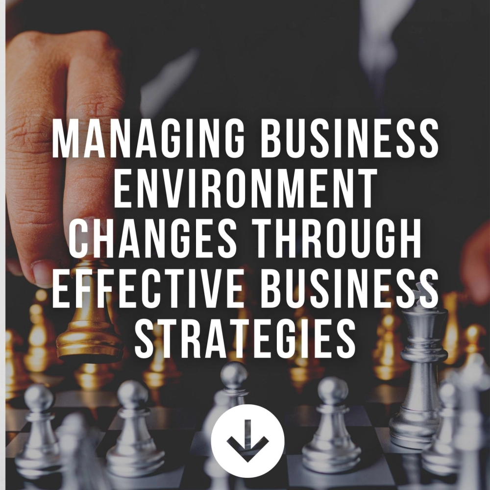 Managing Business Environment Changes Through Effective Business Strategies