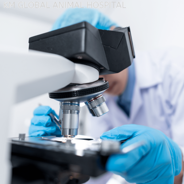 Histology and Cytology Others Selangor, Malaysia, Kuala Lumpur (KL), Batu Caves Services | KM GLOBAL ANIMAL HOSPITAL SDN. BHD.