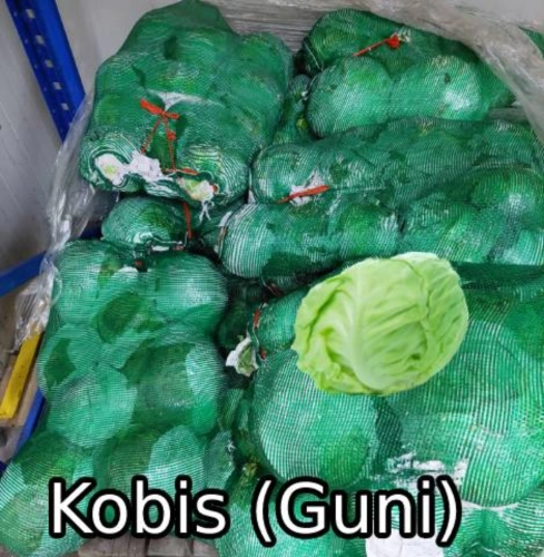 KOBIS (GUNI) 包菜