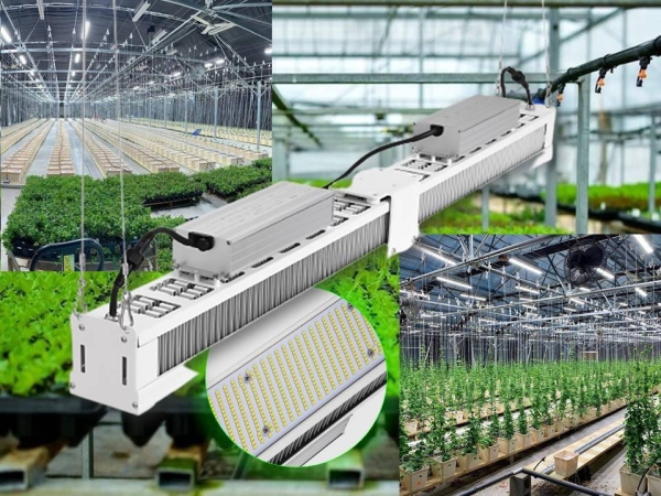 Greenhouse LED Grow Lights LED Grow Lights LED Indoor Lighting Penang, Malaysia, Gelugor, Philippines Supplier, Suppliers, Supply, Supplies | Nupon Technology Phil's Corp