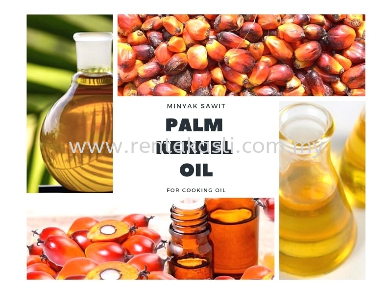 RBD Palm Kernel Oil